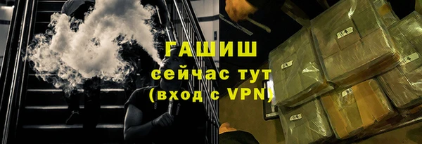 сатива Каменка