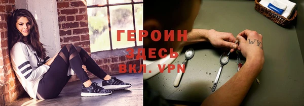 сатива Каменка