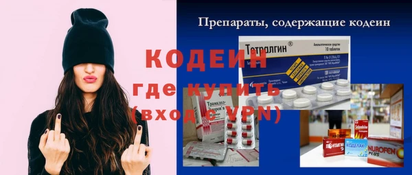сатива Каменка