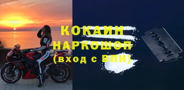 сатива Каменка