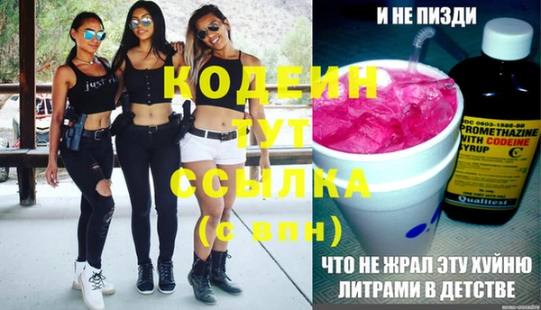 сатива Каменка