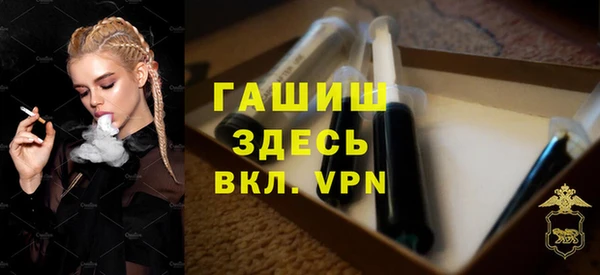 сатива Каменка