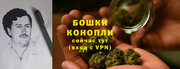 сатива Каменка