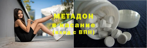сатива Каменка