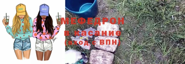 сатива Каменка