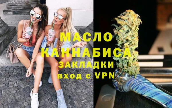 сатива Каменка