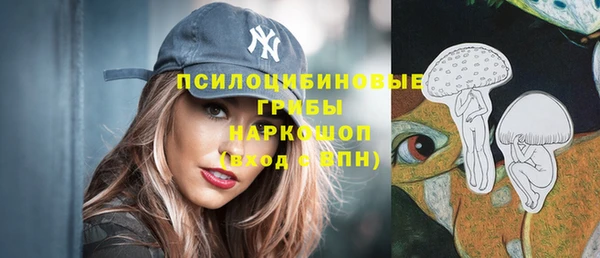 сатива Каменка